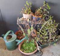 GARDEN LOT