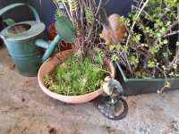 GARDEN LOT - 2