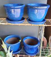 PLANT POTS