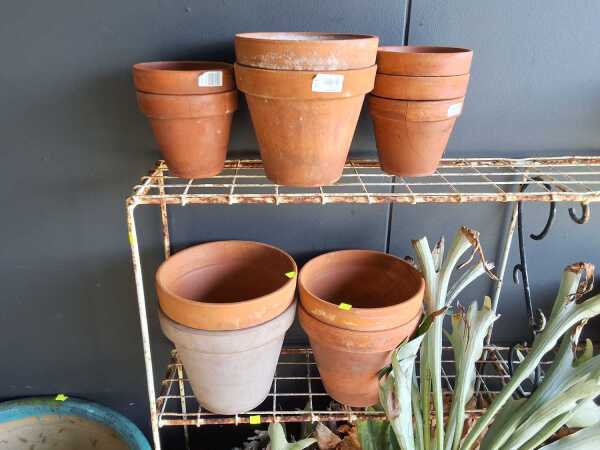 TERRACOTTA POTS