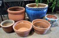GARDEN POTS