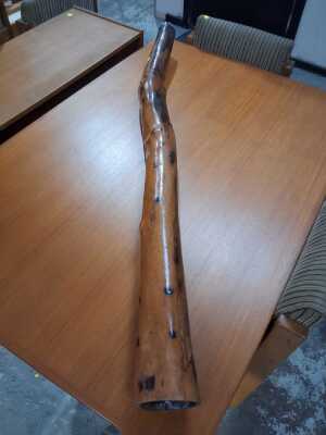1339 · DIDGERIDOO