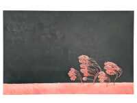LUCINDA LEVEILLE (Australia)