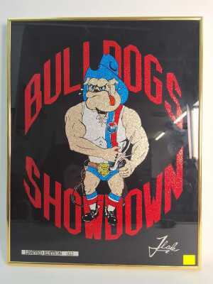 Sanfl Memorabilia
