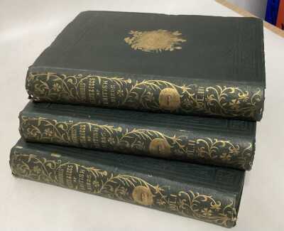 Morris'S British Birds