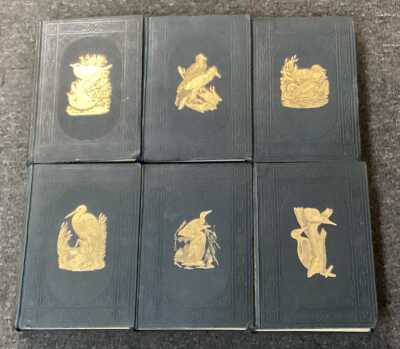 Morris'S Nests And Eggs