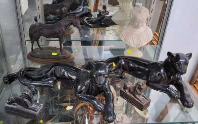 Panthers & More