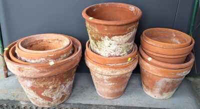 Terracotta Planters
