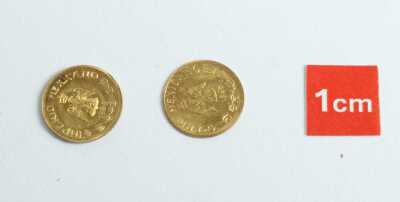 Gold Coins