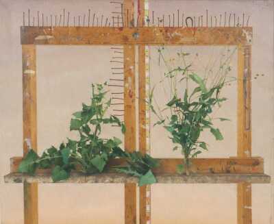 DARYL AUSTIN (Australia, 1964- )