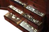 SPECIMEN DRAWERS - 2
