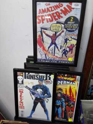 Framed Prints