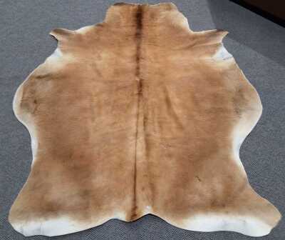 Animal Skin Rug