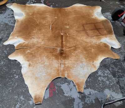 62 · COWHIDE RUG