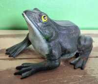 FROG ORNAMENT