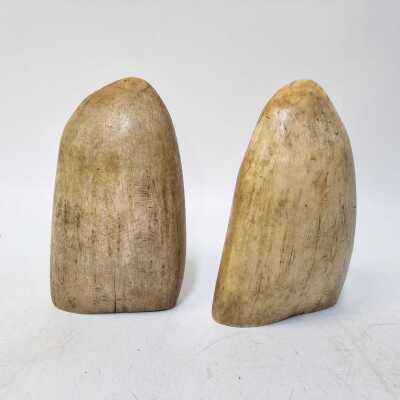 Sperm Whale Teeth