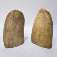 SPERM WHALE TEETH - 2