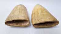 SPERM WHALE TEETH - 3