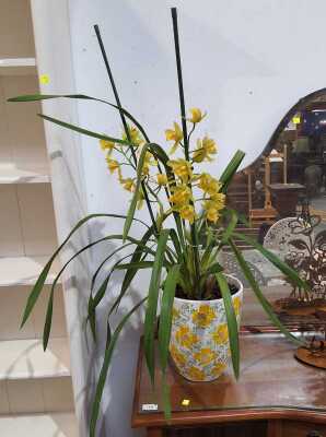 Potted Orchid