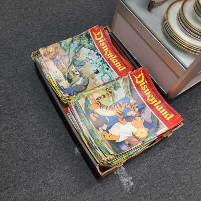 Disneyland Magazine