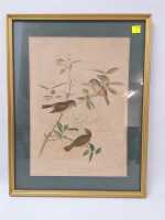 BIRD PRINT
