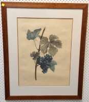 GRAPEVINE PRINT