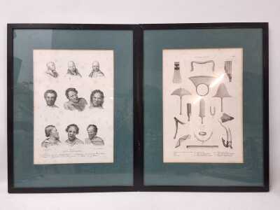 Lithograpths