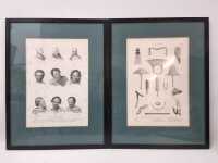 LITHOGRAPTHS
