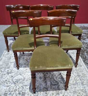Dining Chairs
