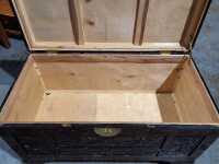 CAMPHORWOOD TRUNK - 2