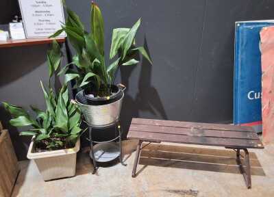 Garden Lot