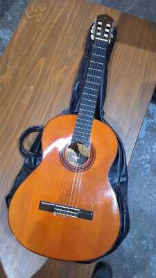 Acoustic Guitar