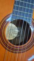 ACOUSTIC GUITAR - 2