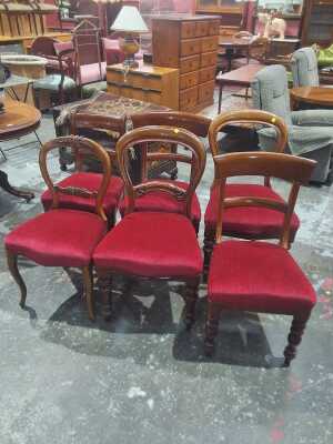 Dining Chairs