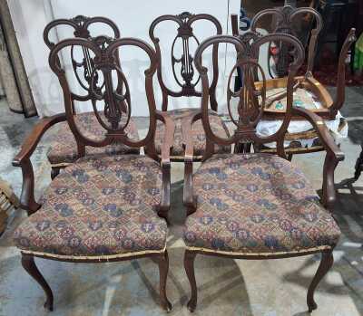 Dining Chairs