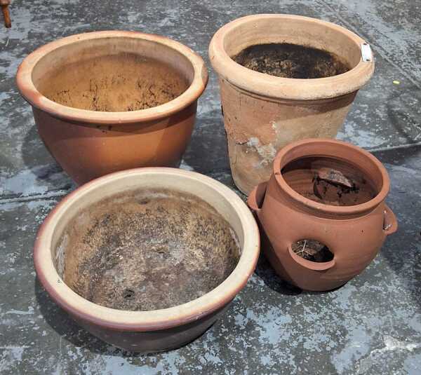 PLANTERS