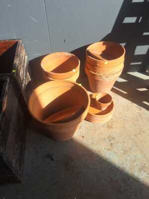Terracotta Pots
