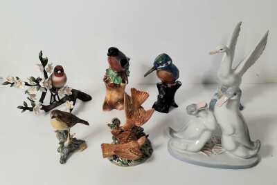 Birds