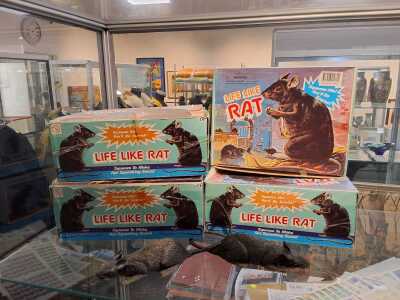 Rats !!!