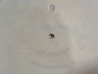 LE CRUESET DUTCH OVEN - 2