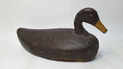 Decoy Duck