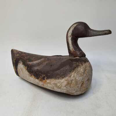 Decoy Duck