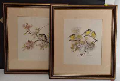 Bird Prints