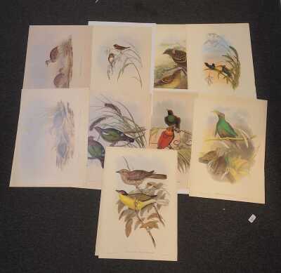 1192 · GOULDS BIRDS
