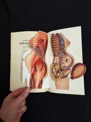 1166 · HOUSEHOLD MEDICINE