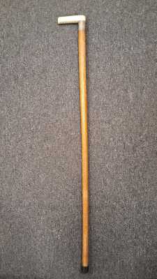 Walking Stick
