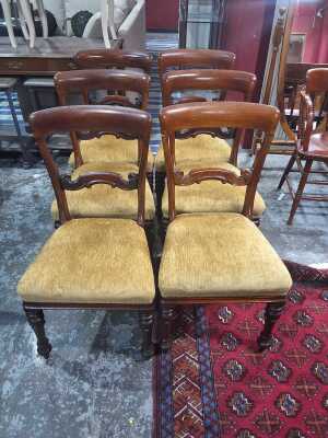 Dining Chairs