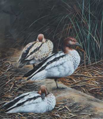 ROGER MURCOTT (Britain, Australia)