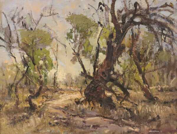 ADRIANUS VANDERBYL (Australia, Working c.1969-1974)