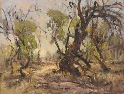 ADRIANUS VANDERBYL (Australia, Working c.1969-1974)
